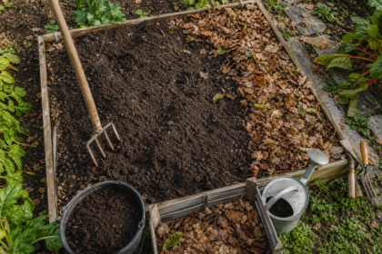 Comment préparer le sol du potager à l’automne pour un bon démarrage au printemps